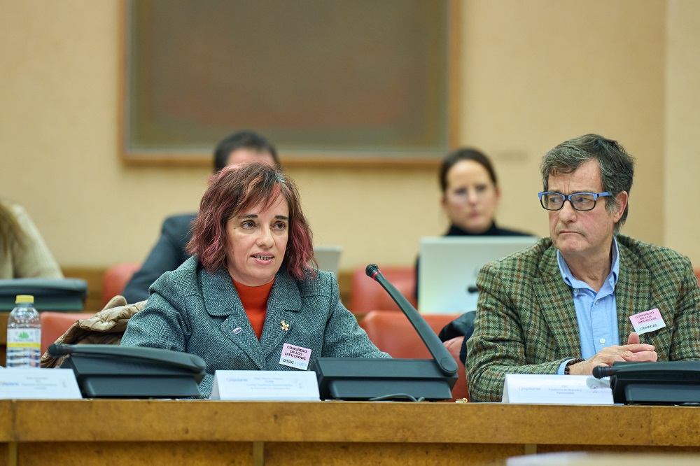 Pilar Villarino, presidenta de la Comisión de Consumo Inclusivo del CERMI y directora ejecutiva del Comité Español de Representantes de personas con discapacidad (CERMI), durante la jornada parlamentaria que analiza la Ley de Servicios de Atención a la Clientela