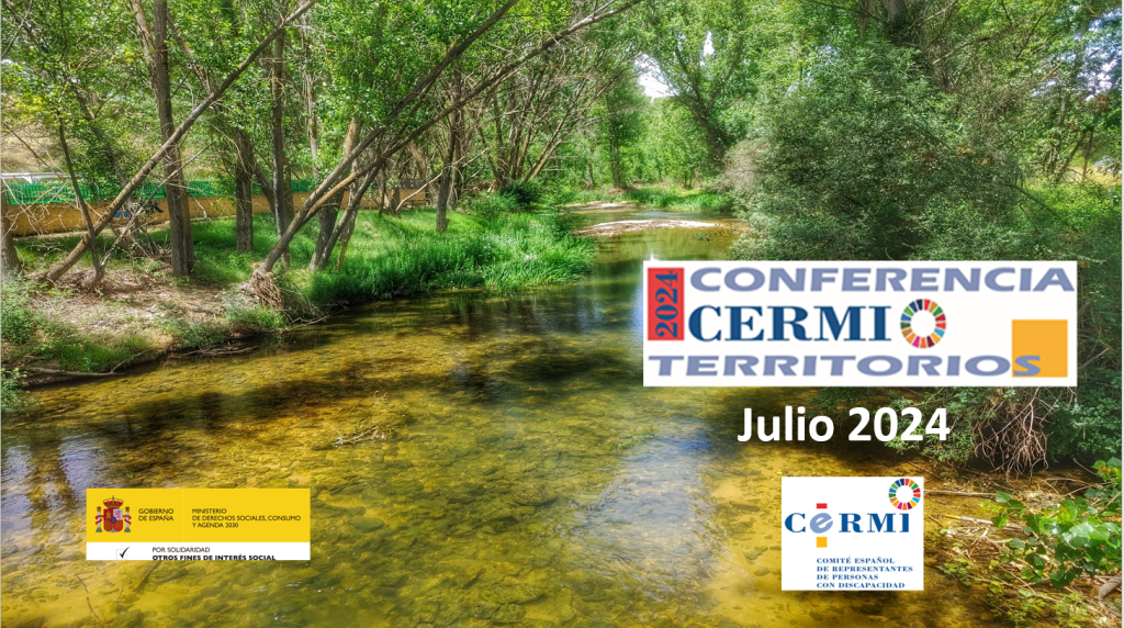 Infografía de la Conferencia de CERMIS autonómicos 2024
